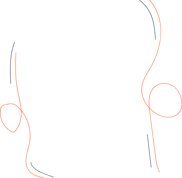 WP Theme Development